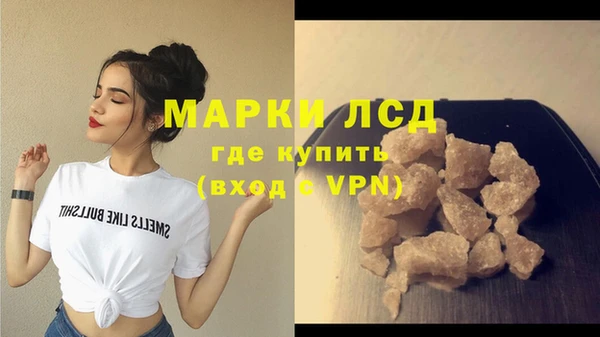 PSILOCYBIN Вяземский