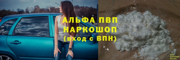 PSILOCYBIN Вяземский