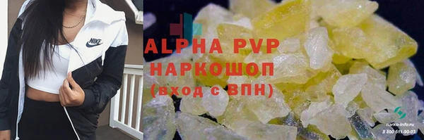 PSILOCYBIN Вяземский
