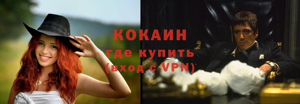 PSILOCYBIN Вяземский
