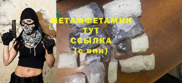 PSILOCYBIN Вяземский