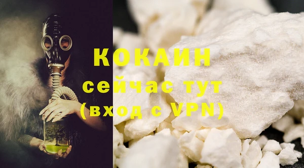 PSILOCYBIN Вяземский
